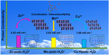 Graphical abstract: High proton conductivity modulated by active protons in 1D ultra-stable metal–organic coordination polymers: a new insight into the coordination interaction/ability of metal ions