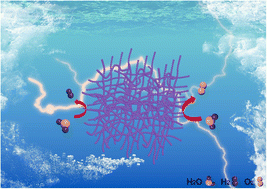 Graphical abstract: Controllable fabrication of a nickel–iridium alloy network by galvanic replacement engineering for high-efficiency electrocatalytic water splitting