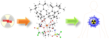 Graphical abstract: Calix[4]crowns with perfluoroalkylsulfonylcarboxamide functions: a complexation approach for heavy group 2 metal ions