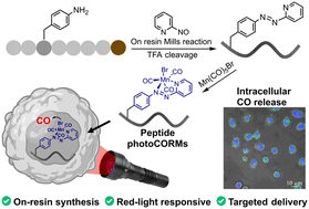 Graphical abstract: Solid-phase synthesis of peptides with azopyridine side-chains for Mn(i)–CO binding and red-light responsive CO release