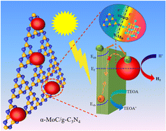 Graphical abstract: In situ construction of an α-MoC/g-C3N4 Mott–Schottky heterojunction with high-speed electron transfer channel for efficient photocatalytic H2 evolution