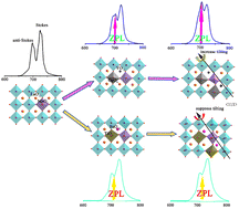 Graphical abstract: Cationic pair substitution in LaAlO3:Mn4+ for octahedral-tilting-dependent zero-phonon line