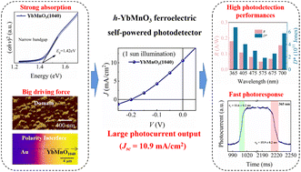 Graphical abstract: Ultrahigh-performance self-powered photodetectors based on hexagonal YbMnO3 ferroelectric thin films by the polarization-induced ripple effect