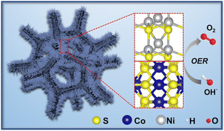 Graphical abstract: Identifying the intrinsic active site in bimetallic Co3S4/Ni3S2 feathers on MXene nanosheets as a heterostructure for efficient oxygen evolution reaction