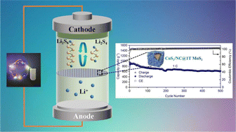 Graphical abstract: Anchoring polysulfides via a CoS2/NC@1T MoS2 modified separator for high-performance lithium–sulfur batteries