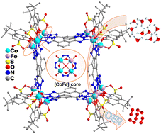 Graphical abstract: Thiacalixarene-based {Co/Fe}16 coordination clusters: bimetallic synergistic effect for an enhanced oxygen evolution reaction