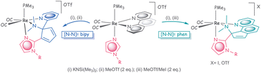 Graphical abstract: 1,10-Phenanthroline ring-opening mediated by cis-{Re(CO)2} complexes