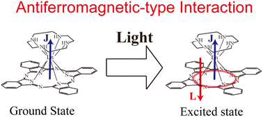 Graphical abstract: Antiparallel alignment of the two angular momenta in a photoexcited dysprosium–phthalocyanine complex