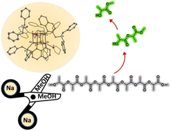 Graphical abstract: Sodium complexes as precise tools for cutting polymer chains. Exploration of PLA degradation by unique cooperation of sodium centers