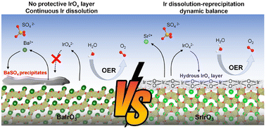 Graphical abstract: Understanding the stabilization effect of the hydrous IrOx layer formed on the iridium oxide surface during the oxygen evolution reaction in acid