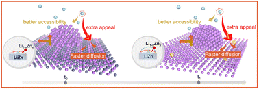 Graphical abstract: Favorable nucleation and continuous regulation direct uniform and oblate Li deposition