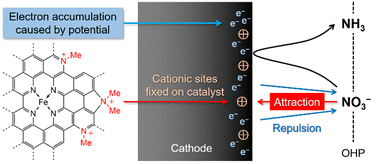 Graphical abstract: Cation modified Fe–N–C catalyst for the electrochemical reduction of nitrate in solutions of low ionic strength