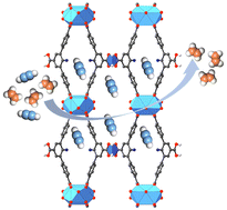 Graphical abstract: Optimizing the pore space of a robust nickel–organic framework for efficient C2H2/C2H4 separation