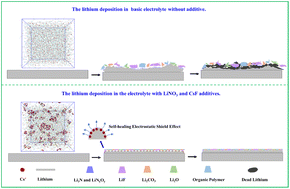Graphical abstract: Solubilized LiNO3 by the cationic size effect of CsF for lithium metal anode protection and dendrite formation prevention in carbonate electrolyte
