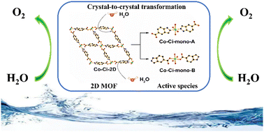 Graphical abstract: Structural transformation of metal–organic frameworks and identification of electrocatalytically active species during the oxygen evolution reaction under neutral conditions