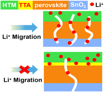 Graphical abstract: Inhibiting Li+ migration by thenoyltrifluoroacetone toward efficient and stable perovskite solar cells