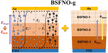 Graphical abstract: Coupling oxygen vacancy gradient distribution and flexoelectric effects for enhanced photovoltaic performance in bismuth ferrite films