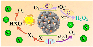 Graphical abstract: Gold–nickel phosphide heterostructures for efficient photocatalytic hydrogen peroxide production from real seawater