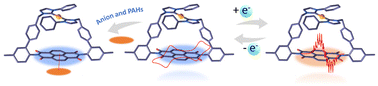 Graphical abstract: Hierarchical self-assembly of a radical naphthalenediimide-based N-heterocyclic carbene-Au(i) macrocycle