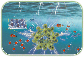 Graphical abstract: Hierarchical porous NiFe-P@NC as an efficient electrocatalyst for alkaline hydrogen production and seawater electrolysis at high current density