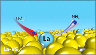 Graphical abstract: Rare-earth La-doped VS2−x for electrochemical nitrate reduction to ammonia