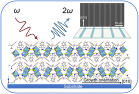 Graphical abstract: Strong anisotropic second-order nonlinear optical responses in 0D lead-free chiral perovskite single-crystalline microwire arrays