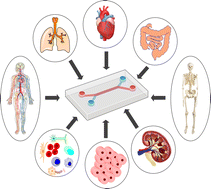 Graphical abstract: Recent advances and future prospects of functional organ-on-a-chip systems