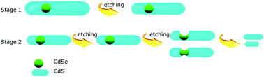 Graphical abstract: The mechanism of ligand-induced chiral transmission through a top-down selective domain etching process
