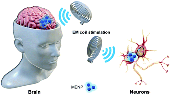 Graphical abstract: Biomedical applications of multifunctional magnetoelectric nanoparticles