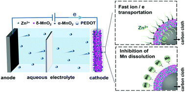 Graphical abstract: Exploiting the synergistic effect of multiphase MnO2 stabilized by an integrated conducting network for aqueous zinc-ion batteries
