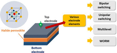 Graphical abstract: Electrode dependence in halide perovskite memories: resistive switching behaviours