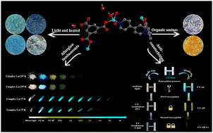 Graphical abstract: Two multifunctional stimuli-responsive materials with room-temperature phosphorescence and their application in multiple dynamic encryption