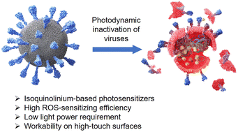 Graphical abstract: Isoquinolinium-based photosensitizers with aggregation-induced emission characteristics for highly efficient photodynamic combat of viruses