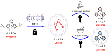 Graphical abstract: A supramolecular strategy for gated photochromism in aqueous solution and solid state