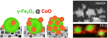 Graphical abstract: Tuning the exchange-coupling effect in raspberry-like γ-Fe2O3@CoO nanoparticles engineered through the single variation of the surfactant concentration in the synthesis process