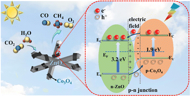 Graphical abstract: An in situ-fabricated p-Co3O4@n-ZnO surface heterojunction photocatalyst for solar-to-fuel conversion of CO2
