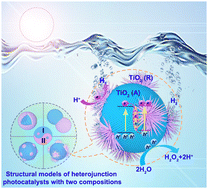 Graphical abstract: Design and synthesis of an S-scheme TiO2 homojunction with an adjusted, well-defined phase for directional carrier transfer in solar water splitting