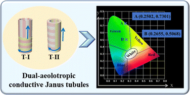 Graphical abstract: Electrospun dual-aeolotropic conductive exceptive Janus membrane and Janus tubule functionalized by up-/down-converting fluorescence and magnetism