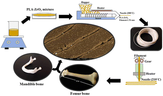 Graphical abstract: Design, fabrication, mechanical, and in vitro evaluation of 3D printed ZrO2 reinforced polylactide scaffolds through fused deposition modeling