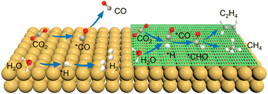 Graphical abstract: Steering CO2 electroreduction selectivity towards CH4 and C2H4 on a tannic acid-modified Cu electrode