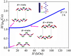 Graphical abstract: Field tunable magnetic transitions of CsCo2(MoO4)2(OH): a triangular chain structure with a frustrated geometry