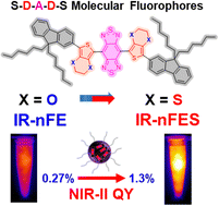 Graphical abstract: 3,4-Ethylenedithio thiophene donor for NIR-II fluorophores with improved quantum yields
