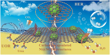 Graphical abstract: Nickel encapsulated in carbon-dot-derived nanosheets for efficient hydrogen evolution via urea-assisted water electrolysis