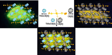 Graphical abstract: 2D supramolecular organic framework with tunable luminescence via cucurbit[n]uril-based hydrogen bonds, outer-surface interactions and host–guest interactions