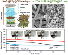 Graphical abstract: Free-standing MoSx-based dual functional polysulfide catalyzer and immobilizer for high performance Li–S batteries