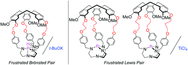 Graphical abstract: Frustrated behavior of Lewis/Brønsted pairs inside molecular cages