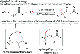 Graphical abstract: Metal-free C(aryl)–P bond cleavage: experimental and computational studies of the Michael addition/aryl migration of triarylphosphines to alkynyl esters