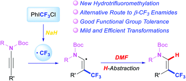 Graphical abstract: Radical hydrotrifluoromethylation of ynamides: a route toward β-CF3 enamides