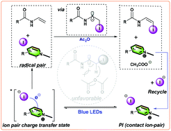 Graphical abstract: Visible light-induced synthesis of (Z)-β-iodoenamides from N-vinyl amides mediated by the ion pair charge transfer state