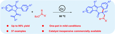 Graphical abstract: Copper-catalyzed amino radical tandem cyclization toward the synthesis of indolo-[2,1-a]isoquinolines
